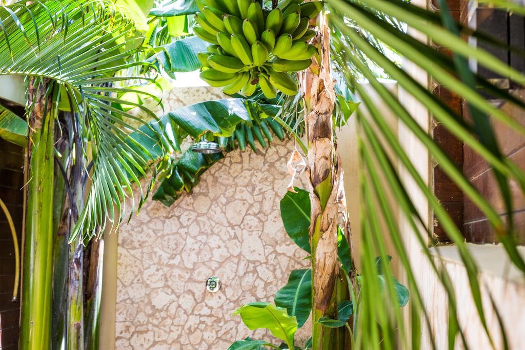 Bamboo Bonaire By Boutique Bonaire Unique Resorts Кралендейк Екстер'єр фото